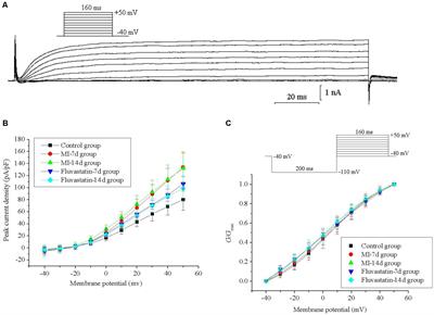 Modulation of Ion Channels in the Superior Cervical Ganglion Neurons by Myocardial Ischemia and Fluvastatin Treatment